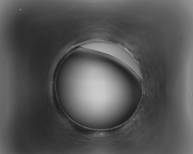 X0000089890152200706281117