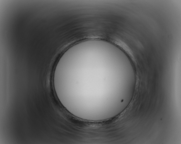 X0000089890155200706281117
