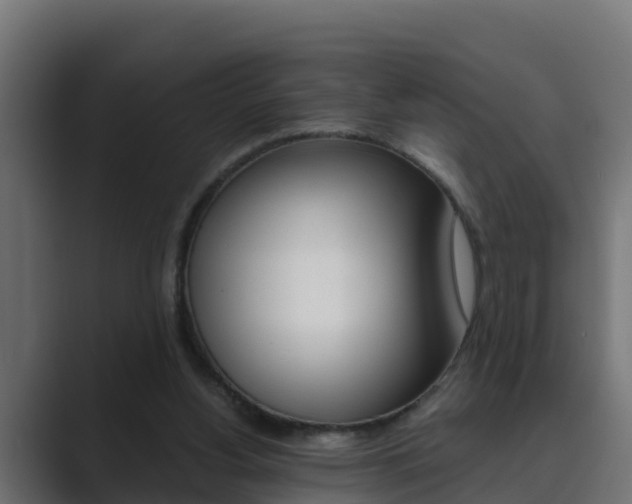 X0000089890156200706281117