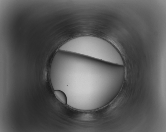X0000089890157200706281117