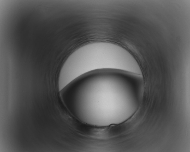 X0000089890170200706281117