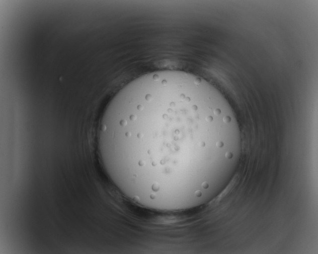 X0000089890171200706281117