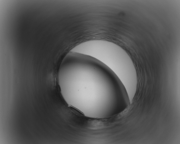 X0000089890180200706281118