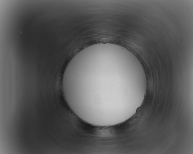 X0000089890181200706281118