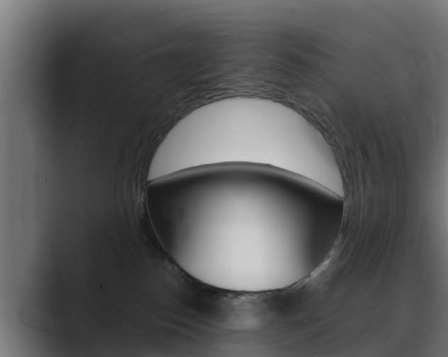 X0000089890186200706281118