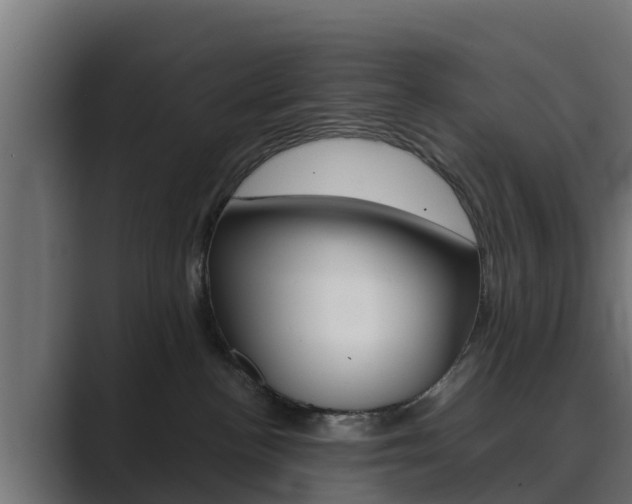 X0000089890188200706281118