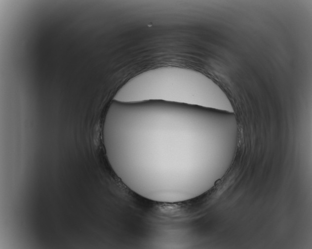 X0000089890189200706281118