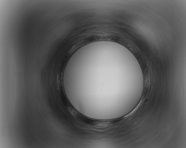 X0000089890191200706281118