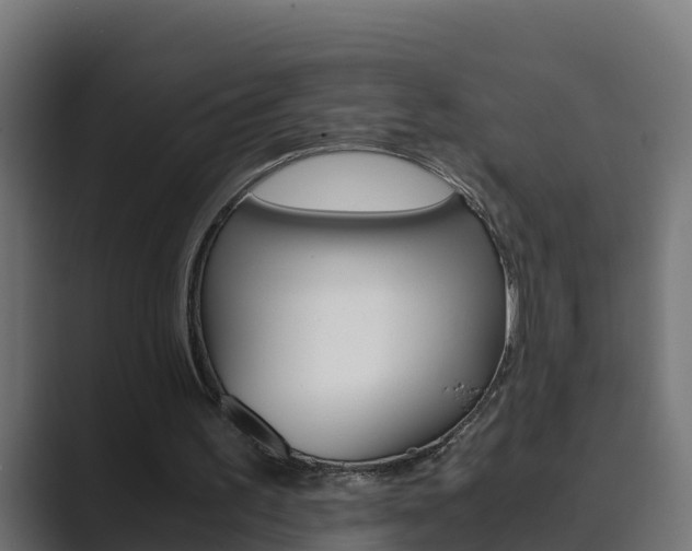 X0000089890195200706281117