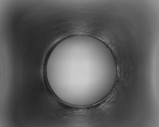 X0000089890196200706281117