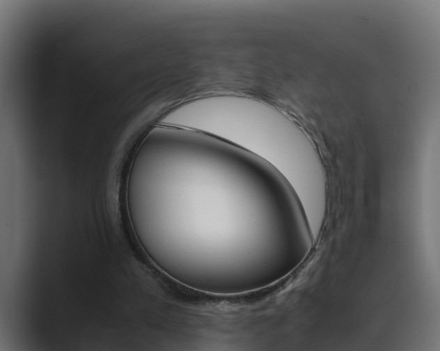X0000089890197200706281117