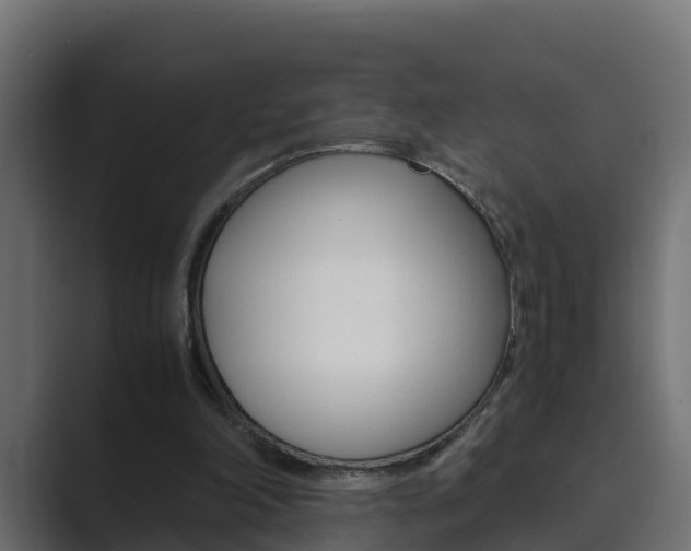 X0000089890198200706281117