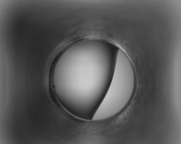 X0000089890199200706281117