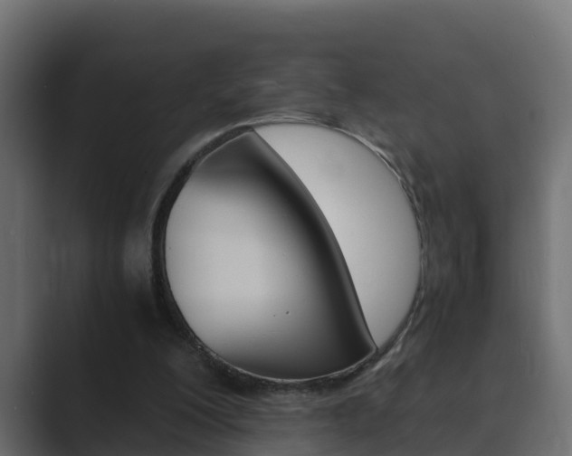 X0000089890200200706281117