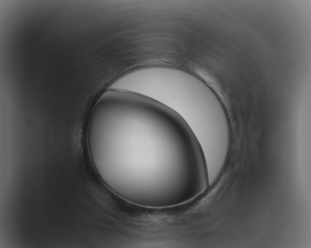 X0000089890201200706281117