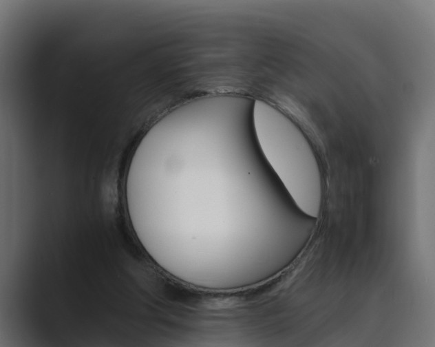 X0000089890202200706281117
