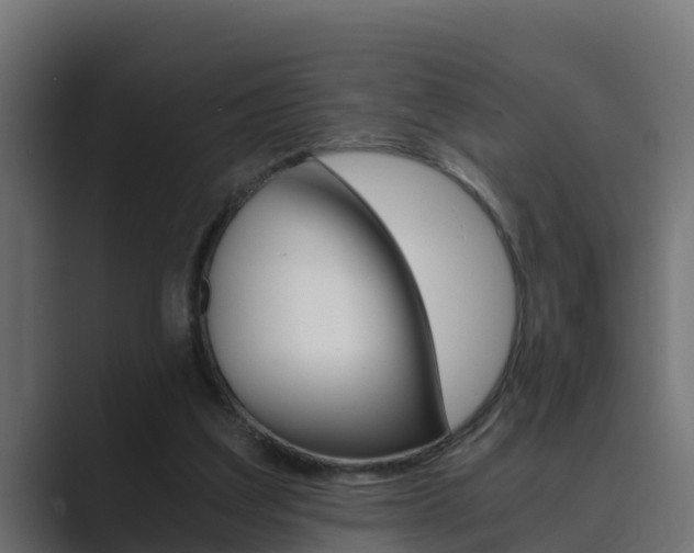 X0000089890203200706281117
