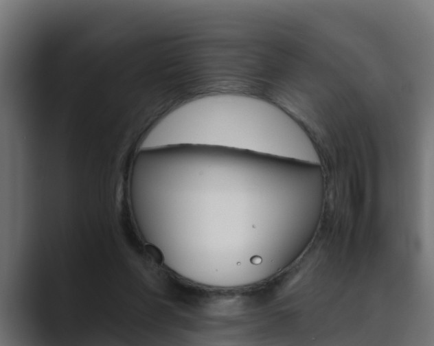 X0000089890206200706281117
