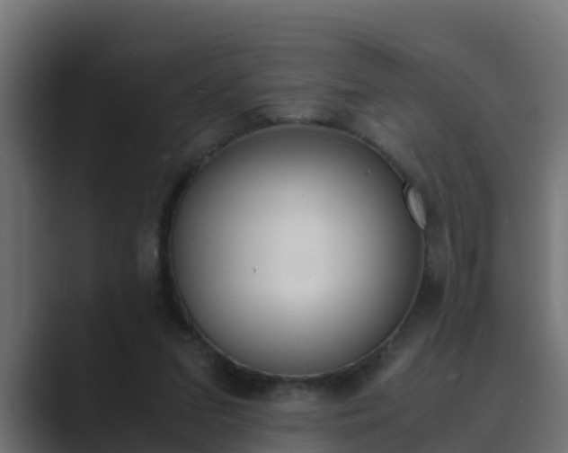 X0000089890207200706281117