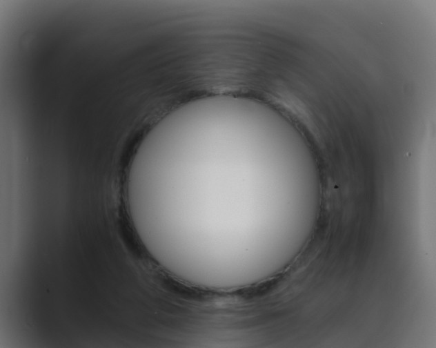 X0000089890210200706281117