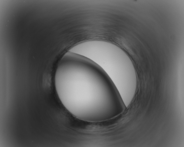 X0000089890211200706281117