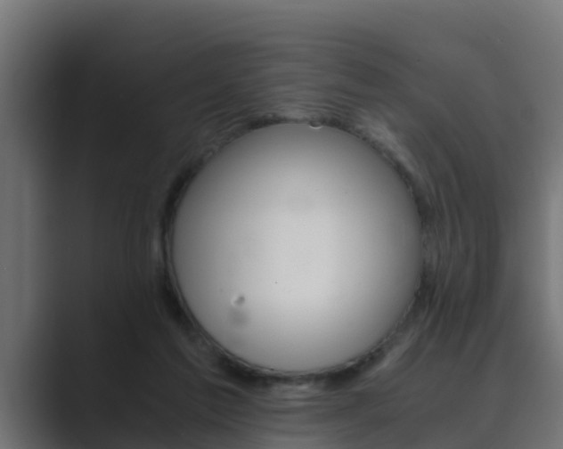 X0000089890213200706281117