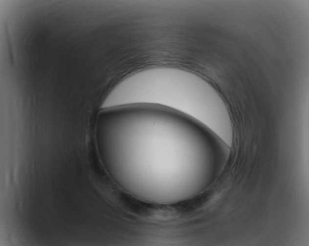 X0000089890215200706281117