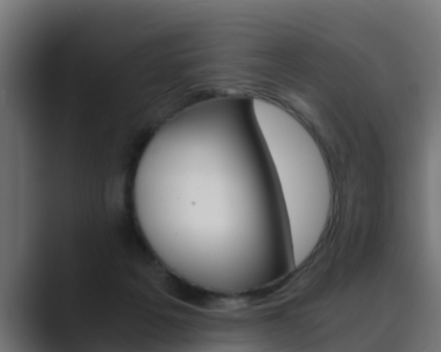 X0000089890217200706281117