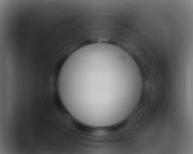X0000089890218200706281117