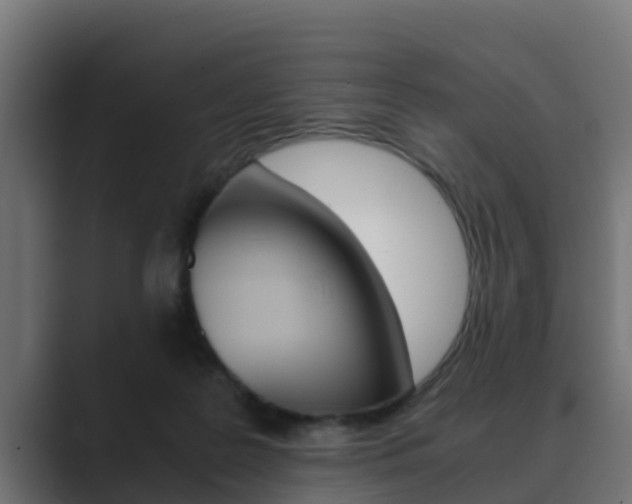 X0000089890219200706281117