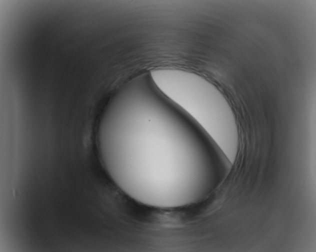 X0000089890221200706281117