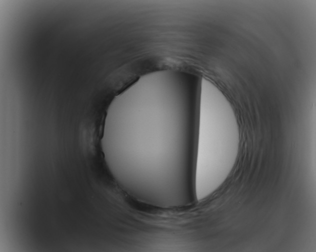 X0000089890223200706281117