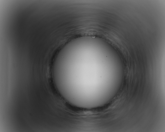 X0000089890224200706281117