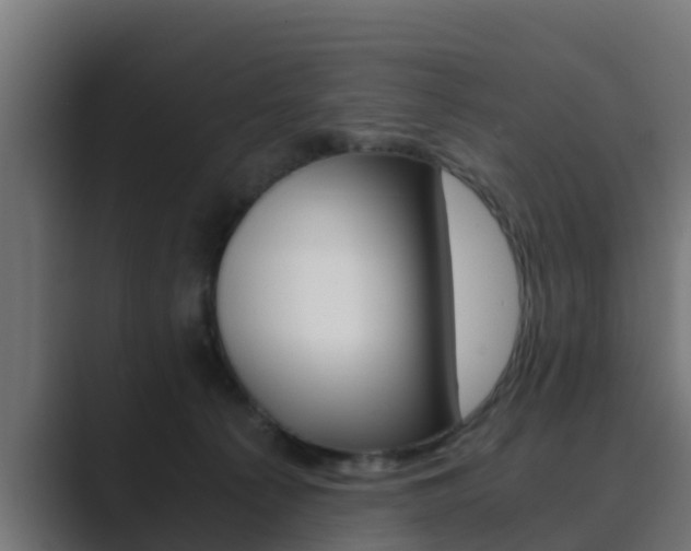X0000089890225200706281117