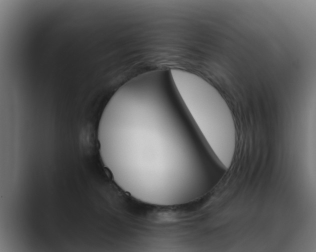 X0000089890228200706281117