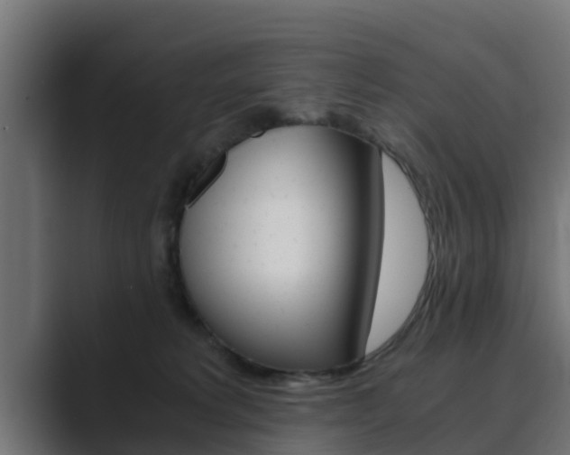 X0000089890229200706281117