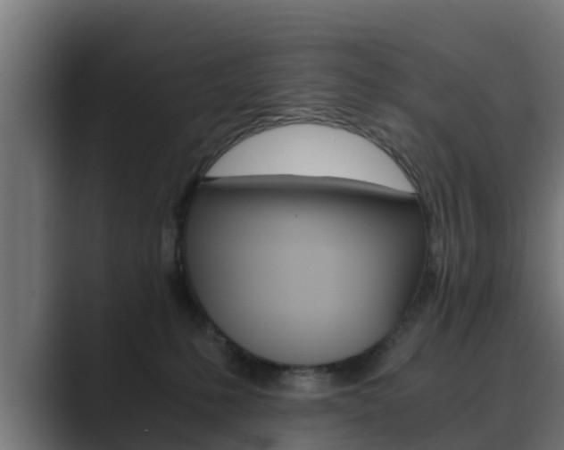 X0000089890231200706281117