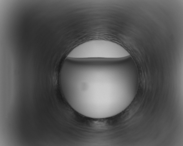 X0000089890232200706281117