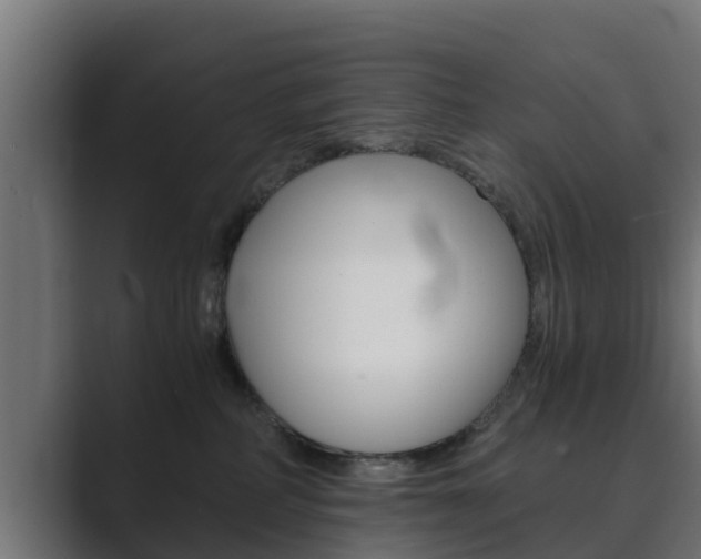 X0000089890234200706281117