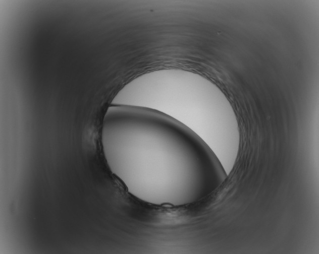 X0000089890235200706281117