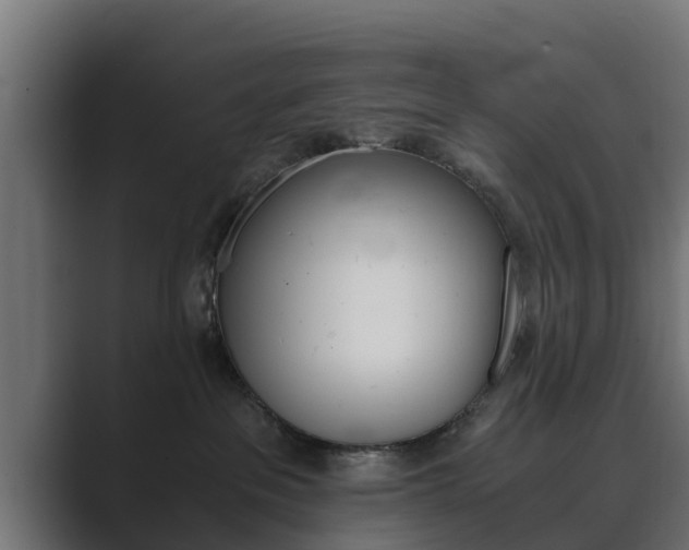 X0000089890237200706281117