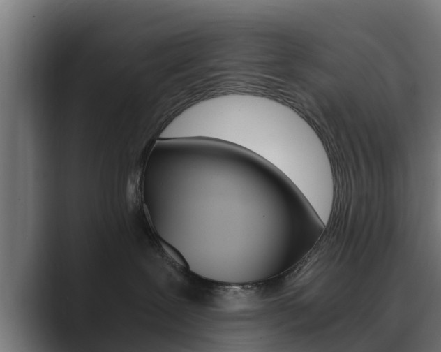 X0000089890239200706281117