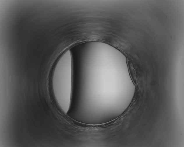 X0000089890242200706281116