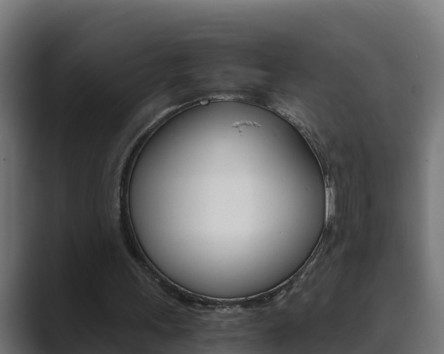 X0000089890243200706281116