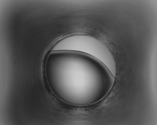 X0000089890244200706281116