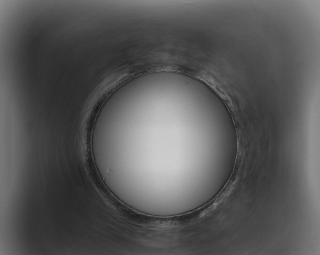 X0000089890245200706281116