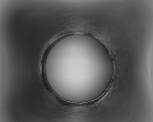 X0000089890246200706281116