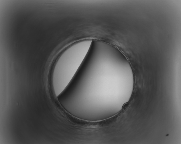 X0000089890247200706281116