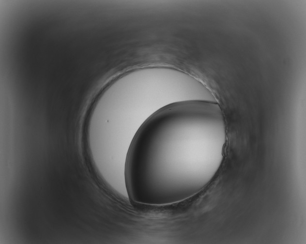 X0000089890248200706281116