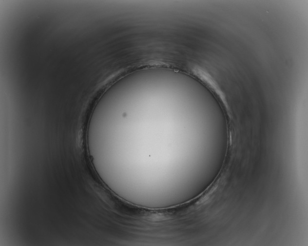 X0000089890249200706281116